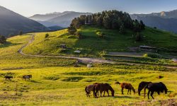 2019_-_Tusheti_National_Park_-_Morning_in_the_Upper_Omalo-scaled