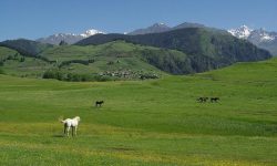 National Park of Tusheti - All You SHOULD Know Before Going 2026 (with Reviews)